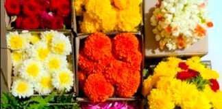 ഓണത്തിന് വിഷരഹിത പച്ചക്കറികളും പൂക്കളും : പത്തനംതിട്ട ജില്ലയില് 1429.43 ഏക്കറില് കൃഷിയുമായി കുടുംബശ്രീ