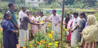 കോന്നി ഗ്രാമപഞ്ചായത്തില് പുഷ്പകൃഷി വിളവെടുപ്പ് നടന്നു