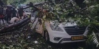 താമരശ്ശേരി ചുരത്തിൽ കാറിന് മുകളിലേക്ക് മരം വീണു ; കുട്ടിയ്ക്കുൾപ്പെടെ പരിക്ക്
