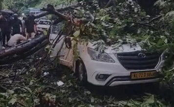 താമരശ്ശേരി ചുരത്തിൽ കാറിന് മുകളിലേക്ക് മരം വീണു ; കുട്ടിയ്ക്കുൾപ്പെടെ പരിക്ക്
