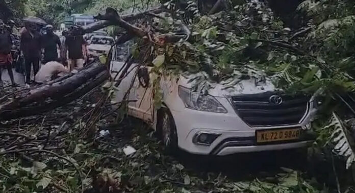 താമരശ്ശേരി ചുരത്തിൽ കാറിന് മുകളിലേക്ക് മരം വീണു ; കുട്ടിയ്ക്കുൾപ്പെടെ പരിക്ക് താമരശ്ശേരി ചുരത്തിൽ കാറിന് മുകളിലേക്ക് മരം വീണു ; കുട്ടിയ്ക്കുൾപ്പെടെ പരിക്ക്
