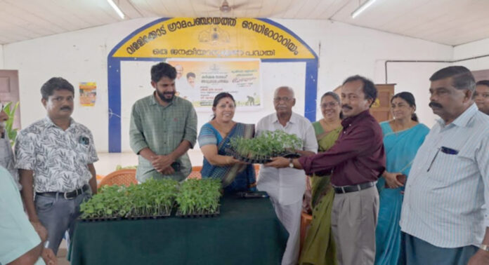 വള്ളിക്കോട് ഗ്രാമപഞ്ചായത്തില് കര്ഷകസഭയും ഞാറ്റുവേല ചന്തയും നടന്നു വള്ളിക്കോട് ഗ്രാമപഞ്ചായത്തില് കര്ഷകസഭയും ഞാറ്റുവേല ചന്തയും നടന്നു
