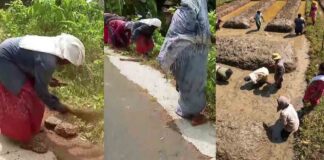 വിബിജി റാം ജി പദ്ധതി ഇന്നുമുതൽ പ്രാബല്യത്തിൽ