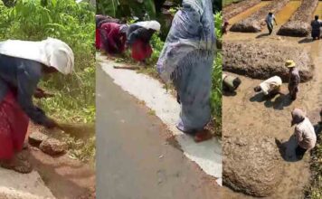 വിബിജി റാം ജി പദ്ധതി ഇന്നുമുതൽ പ്രാബല്യത്തിൽ