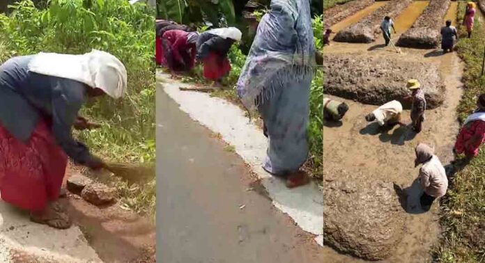 വിബിജി റാം ജി പദ്ധതി ഇന്നുമുതൽ പ്രാബല്യത്തിൽ വിബിജി റാം ജി പദ്ധതി ഇന്നുമുതൽ പ്രാബല്യത്തിൽ