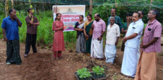 ഓണത്തിനൊരുക്കാം – വിളവിന്റെ വിസ്മയം : പദ്ധതിക്ക് കോട്ടാങ്ങല് പഞ്ചായത്തില് തുടക്കമായി