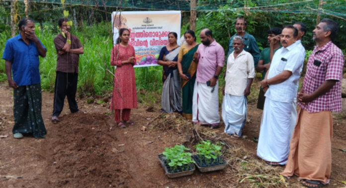 ഓണത്തിനൊരുക്കാം – വിളവിന്റെ വിസ്മയം : പദ്ധതിക്ക് കോട്ടാങ്ങല് പഞ്ചായത്തില് തുടക്കമായി ഓണത്തിനൊരുക്കാം – വിളവിന്റെ വിസ്മയം : പദ്ധതിക്ക് കോട്ടാങ്ങല് പഞ്ചായത്തില് തുടക്കമായി