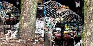 ശുചീകരണം നിലച്ച് ഇട്ടിയപ്പാറ : ബസ് സ്റ്റാന്റിലും നിരത്തുകളിലും മാലിന്യം കുന്നുകൂടുന്നു