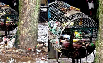 ശുചീകരണം നിലച്ച് ഇട്ടിയപ്പാറ : ബസ് സ്റ്റാന്റിലും നിരത്തുകളിലും മാലിന്യം കുന്നുകൂടുന്നു