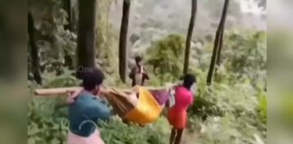 ഇടമലക്കുടിയിൽ രോഗിയായ വൃദ്ധനെ കിലോമീറ്ററോളം ചുമന്ന് ആശുപത്രിയിൽ എത്തിച്ചതായി പരാതി