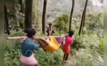 ഇടമലക്കുടിയിൽ രോഗിയായ വൃദ്ധനെ കിലോമീറ്ററോളം ചുമന്ന് ആശുപത്രിയിൽ എത്തിച്ചതായി പരാതി