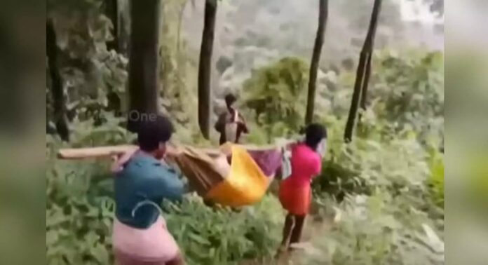 ഇടമലക്കുടിയിൽ രോഗിയായ വൃദ്ധനെ കിലോമീറ്ററോളം ചുമന്ന് ആശുപത്രിയിൽ എത്തിച്ചതായി പരാതി ഇടമലക്കുടിയിൽ രോഗിയായ വൃദ്ധനെ കിലോമീറ്ററോളം ചുമന്ന് ആശുപത്രിയിൽ എത്തിച്ചതായി പരാതി