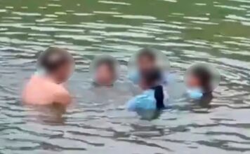 വിദ്യാർഥിനികൾക്കൊപ്പം അപകടകരമായ ചെക്ക് ഡാമിൽ കുളിക്കാനിറങ്ങിയ പ്രിൻസിപ്പലിനെ സസ്പെൻഡ് ചെയ്തു