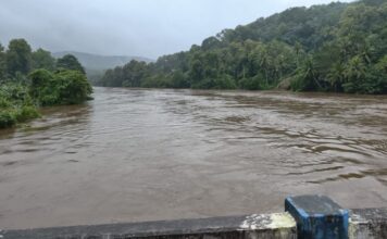 റാന്നി വലിയ പാലത്തിൽ യുവാവിന്റെ ആത്മഹത്യാ ഭീഷണി ; പോലീസിൻ്റെ സമയോചിതമായ ഇടപെടലിൽ വൻ ദുരന്തം ഒഴിവായി