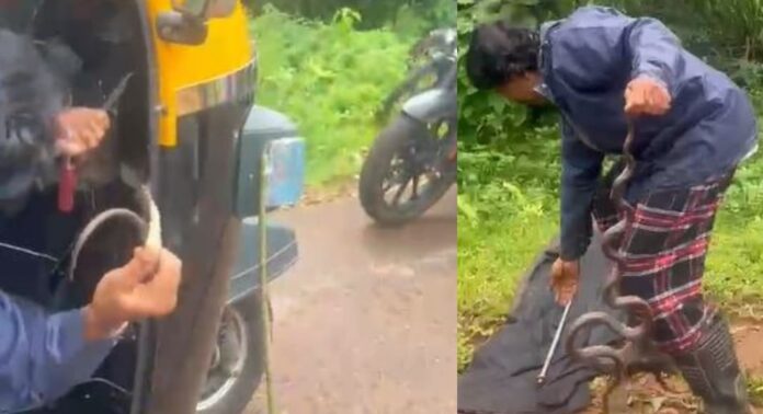 ഓടിക്കൊണ്ടിരുന്ന ഓട്ടോറിക്ഷയിൽ പാമ്പ് ഓടിക്കൊണ്ടിരുന്ന ഓട്ടോറിക്ഷയിൽ പാമ്പ്