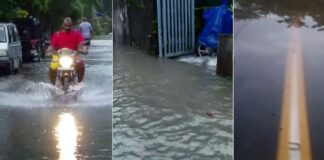 മീനച്ചിലാറ്റിൽ ജലനിരപ്പ് ഉയരുന്നു ; ആർപ്പൂക്കര അടക്കം ജില്ലയിലെ താഴ്ന്ന പ്രദേശങ്ങളിൽ വെള്ളം കയറി