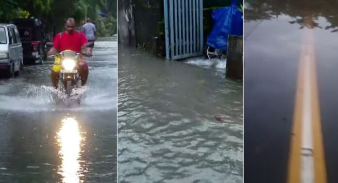 മീനച്ചിലാറ്റിൽ ജലനിരപ്പ് ഉയരുന്നു ; ആർപ്പൂക്കര അടക്കം ജില്ലയിലെ താഴ്ന്ന പ്രദേശങ്ങളിൽ വെള്ളം കയറി മീനച്ചിലാറ്റിൽ ജലനിരപ്പ് ഉയരുന്നു ; ആർപ്പൂക്കര അടക്കം ജില്ലയിലെ താഴ്ന്ന പ്രദേശങ്ങളിൽ വെള്ളം കയറി