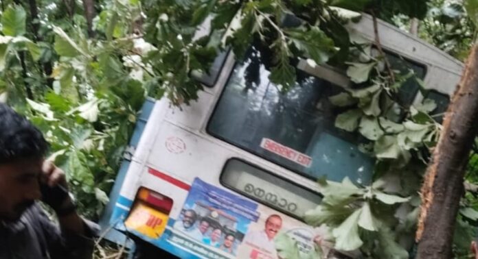 നെൻമാറ പോത്തുണ്ടിയിൽ കെഎസ്ആർടിസി ബസ് താഴ്ച്ചയിലേക്ക് മറിഞ്ഞു ; ഒരാൾ മരിച്ചു നെൻമാറ പോത്തുണ്ടിയിൽ കെഎസ്ആർടിസി ബസ് താഴ്ച്ചയിലേക്ക് മറിഞ്ഞു ; ഒരാൾ മരിച്ചു