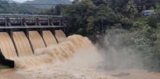 കരുവന്നൂർ പുഴയിൽ ജലനിരപ്പ് ഉയർന്നു : ഇല്ലിക്കൽ റെഗുലേറ്ററിന്റെ ഷട്ടറുകൾ ഉയർത്തുന്നു