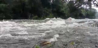 ഇടമലക്കുടിയിൽ മണലിയാർ കരകവിഞ്ഞു ; മൂന്ന് കുടികൾ ഒറ്റപ്പെട്ടു