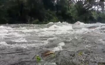 ഇടമലക്കുടിയിൽ മണലിയാർ കരകവിഞ്ഞു ; മൂന്ന് കുടികൾ ഒറ്റപ്പെട്ടു