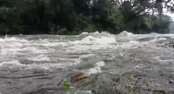 ഇടമലക്കുടിയിൽ മണലിയാർ കരകവിഞ്ഞു ; മൂന്ന് കുടികൾ ഒറ്റപ്പെട്ടു ഇടമലക്കുടിയിൽ മണലിയാർ കരകവിഞ്ഞു ; മൂന്ന് കുടികൾ ഒറ്റപ്പെട്ടു