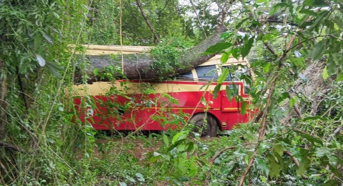 ചേർത്തല കെഎസ്ആർടിസി ഡിപ്പോയിൽ നിർത്തിയിട്ടിരുന്ന ബസിന് മുകളിലേക്ക് വൻമരം കടപുഴകി വീണു ചേർത്തല കെഎസ്ആർടിസി ഡിപ്പോയിൽ നിർത്തിയിട്ടിരുന്ന ബസിന് മുകളിലേക്ക് വൻമരം കടപുഴകി വീണു