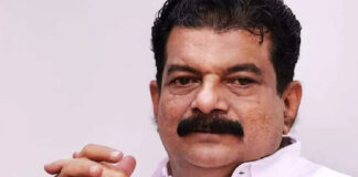 പിവി അൻവറിന് രഹസ്യങ്ങൾ ചേർത്തി നൽകിയ പോലീസുകാരുടെ സസ്പെൻഷൻ പിൻവലിച്ചു