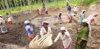 ഗ്രാമീണ തൊഴിലുറപ്പ് പദ്ധതിയിൽ ആദ്യ മാസം തൊഴിലവസരങ്ങളിൽ വൻ കുറവ്