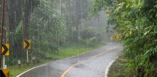 പാണക്കാട് -കാരാത്തോട് റോഡിൽ രാത്രികാല ഗതാഗത നിരോധനം