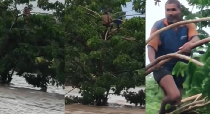കനത്ത മഴയെത്തുടർന്ന് അഞ്ജനി നദി കരകവിഞ്ഞൊഴുകി , ഒഴുക്കിൽപ്പെട്ട യുവാവ് പ്രാണരക്ഷാർത്ഥം അഭയം തേടിയത് മരത്തിന്റെ മുകളിൽ കനത്ത മഴയെത്തുടർന്ന് അഞ്ജനി നദി കരകവിഞ്ഞൊഴുകി , ഒഴുക്കിൽപ്പെട്ട യുവാവ് പ്രാണരക്ഷാർത്ഥം അഭയം തേടിയത് മരത്തിന്റെ മുകളിൽ