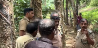 ആവോലിക്കുഴിയില് അജ്ഞാത ജീവി പശുകിടാവിനെ കൊന്ന് ഭക്ഷിച്ച സംഭവം : വനം വകുപ്പ് കൂട് സ്ഥാപിച്ചു