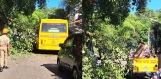 പേരൂർക്കടയിൽ ആൽമരകൊമ്പ് രണ്ട് തവണ ഒടിഞ്ഞു വീണു ; രണ്ടാമത് വീണത് കാറിനു മുകളിലേക്ക് ; യാത്രക്കാരൻ അത്ഭുതകരമായി രക്ഷപെട്ടു