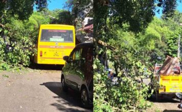 പേരൂർക്കടയിൽ ആൽമരകൊമ്പ് രണ്ട് തവണ ഒടിഞ്ഞു വീണു ; രണ്ടാമത് വീണത് കാറിനു മുകളിലേക്ക് ; യാത്രക്കാരൻ അത്ഭുതകരമായി രക്ഷപെട്ടു