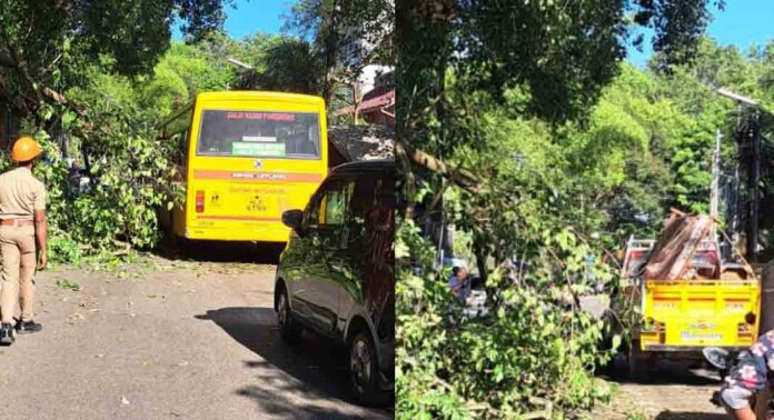 പേരൂർക്കടയിൽ ആൽമരകൊമ്പ് രണ്ട് തവണ ഒടിഞ്ഞു വീണു ; രണ്ടാമത് വീണത് കാറിനു മുകളിലേക്ക് ; യാത്രക്കാരൻ അത്ഭുതകരമായി രക്ഷപെട്ടു പേരൂർക്കടയിൽ ആൽമരകൊമ്പ് രണ്ട് തവണ ഒടിഞ്ഞു വീണു ; രണ്ടാമത് വീണത് കാറിനു മുകളിലേക്ക് ; യാത്രക്കാരൻ അത്ഭുതകരമായി രക്ഷപെട്ടു