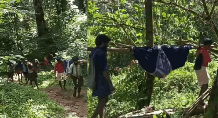 ഇടമലക്കുടിയിൽ വീണ്ടും ദുരിതയാത്ര ; പനി ബാധിച്ച വീട്ടമ്മയെ കാട്ടിലൂടെ ചുമന്നത് 7 കിലോമീറ്റർ ഇടമലക്കുടിയിൽ വീണ്ടും ദുരിതയാത്ര ; പനി ബാധിച്ച വീട്ടമ്മയെ കാട്ടിലൂടെ ചുമന്നത് 7 കിലോമീറ്റർ
