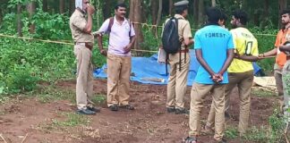 വാളയാറിൽ ട്രെയിനിടിച്ച് പിടിയാനയും കുട്ടിയാനയും ചരിഞ്ഞു