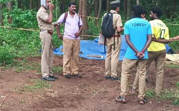 വാളയാറിൽ ട്രെയിനിടിച്ച് പിടിയാനയും കുട്ടിയാനയും ചരിഞ്ഞു