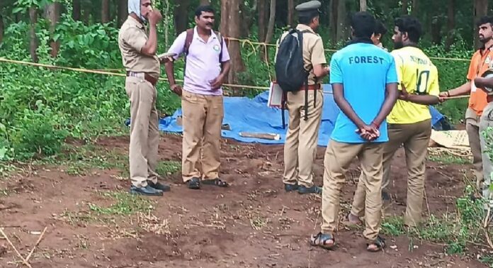 വാളയാറിൽ ട്രെയിനിടിച്ച് പിടിയാനയും കുട്ടിയാനയും ചരിഞ്ഞു വാളയാറിൽ ട്രെയിനിടിച്ച് പിടിയാനയും കുട്ടിയാനയും ചരിഞ്ഞു