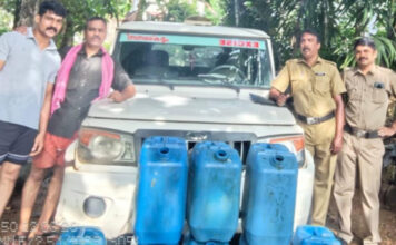 വള്ളിക്കോട് എക്സൈസ് പരിശോധന : കോട ശേഖരം പിടികൂടി