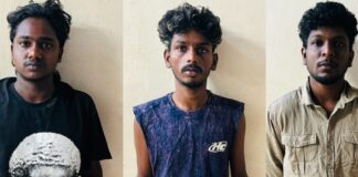 തുറവൂരിൽ വൻ കഞ്ചാവ് വേട്ട ; പത്തനംതിട്ട സ്വദേശികളായ 3 യുവാക്കൾ പിടിയിൽ