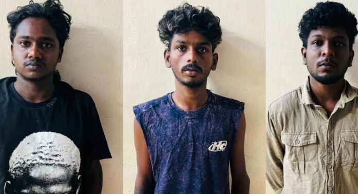 തുറവൂരിൽ വൻ കഞ്ചാവ് വേട്ട ; പത്തനംതിട്ട സ്വദേശികളായ 3 യുവാക്കൾ പിടിയിൽ തുറവൂരിൽ വൻ കഞ്ചാവ് വേട്ട ; പത്തനംതിട്ട സ്വദേശികളായ 3 യുവാക്കൾ പിടിയിൽ