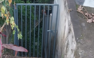അനധികൃതമായി സ്ഥാപിച്ച ഗേറ്റ് പരാതിയെ തുടർന്ന് അധികൃതർ നീക്കം ചെയ്തു