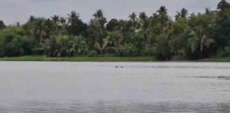 മൂന്നു ദിവസത്തെ തിരച്ചിൽ; അഫ്സലിന്റെ മൃതദേഹം പെരിയാർ നദിയിൽ നിന്ന് കണ്ടെത്തി