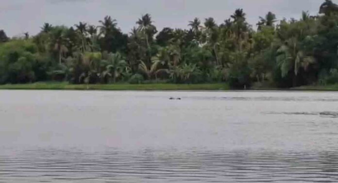 മൂന്നു ദിവസത്തെ തിരച്ചിൽ ; അഫ്സലിന്റെ മൃതദേഹം പെരിയാർ നദിയിൽ നിന്ന് കണ്ടെത്തി മൂന്നു ദിവസത്തെ തിരച്ചിൽ ; അഫ്സലിന്റെ മൃതദേഹം പെരിയാർ നദിയിൽ നിന്ന് കണ്ടെത്തി