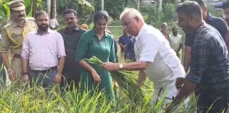 ലോക്ഭവൻ വളപ്പിൽ കൃഷിയിറക്കിയ നെല്ലിന്റെ വിളവെടുപ്പിന് ഗവർണർ രാജേന്ദ്ര വിശ്വനാഥ് ആർലേക്കർ