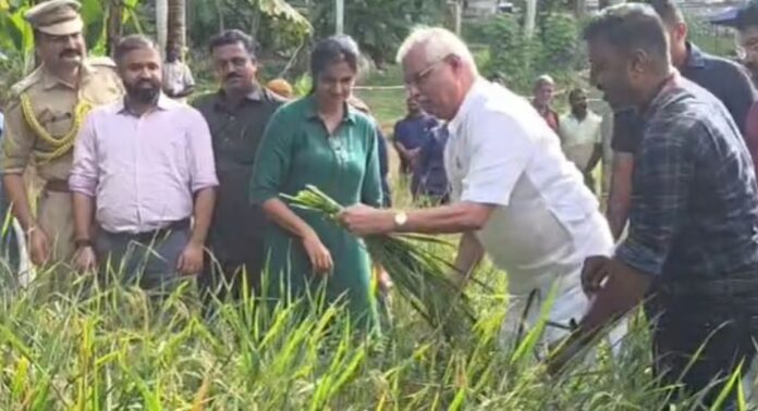 ലോക്ഭവൻ വളപ്പിൽ കൃഷിയിറക്കിയ നെല്ലിന്റെ വിളവെടുപ്പിന് ഗവർണർ രാജേന്ദ്ര വിശ്വനാഥ് ആർലേക്കർ ലോക്ഭവൻ വളപ്പിൽ കൃഷിയിറക്കിയ നെല്ലിന്റെ വിളവെടുപ്പിന് ഗവർണർ രാജേന്ദ്ര വിശ്വനാഥ് ആർലേക്കർ