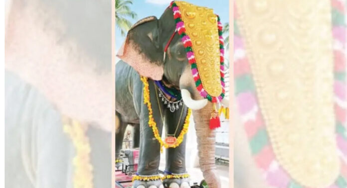 ക്ഷേത്ര ഉത്സവത്തിന് തിടമ്പേറ്റാൻ ‘ഗുരുപുരം അർജുനൻ’ ; റോബോട്ടിക് ആനയെ 25-ന് നടയിരുത്തും ക്ഷേത്ര ഉത്സവത്തിന് തിടമ്പേറ്റാൻ ‘ഗുരുപുരം അർജുനൻ’ ; റോബോട്ടിക് ആനയെ 25-ന് നടയിരുത്തും