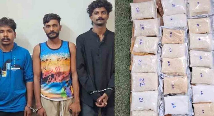 കോയമ്പത്തൂർ എംഡിഎംഎ വേട്ട ; പ്രത്യേക അന്വേഷണ സംഘത്തെ രൂപീകരിക്കും കോയമ്പത്തൂർ എംഡിഎംഎ വേട്ട ; പ്രത്യേക അന്വേഷണ സംഘത്തെ രൂപീകരിക്കും