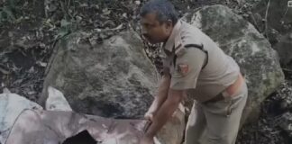 ഇടുക്കിയിൽ എക്സൈസ് നടത്തിയ പരിശോധനയിൽ അതിർത്തി മേഖലയിൽ നിന്നും 200 ലിറ്റർ കോട കണ്ടെടുത്തു